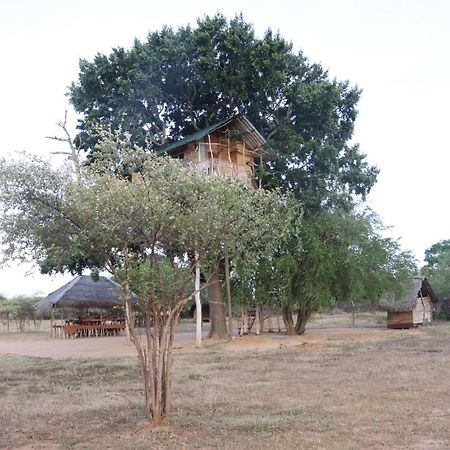 Отель Yala Dream Park Экстерьер фото